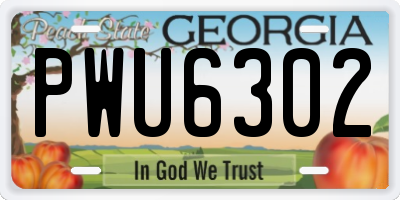 GA license plate PWU6302