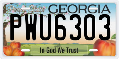 GA license plate PWU6303