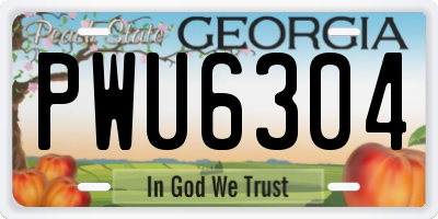 GA license plate PWU6304