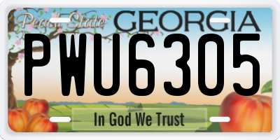 GA license plate PWU6305