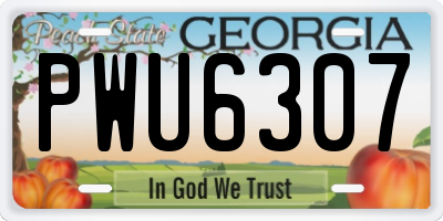GA license plate PWU6307