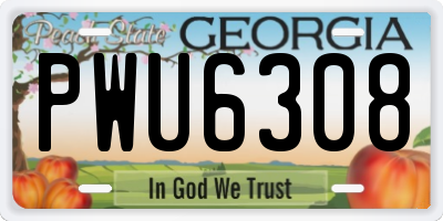 GA license plate PWU6308