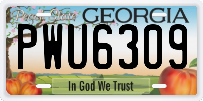 GA license plate PWU6309
