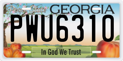 GA license plate PWU6310