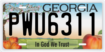 GA license plate PWU6311