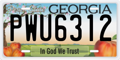 GA license plate PWU6312