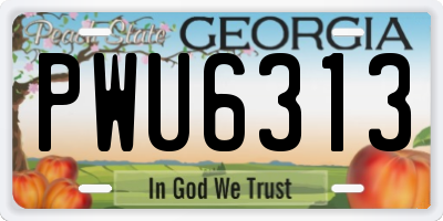 GA license plate PWU6313