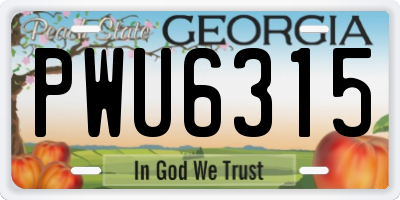 GA license plate PWU6315