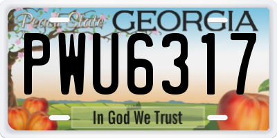 GA license plate PWU6317