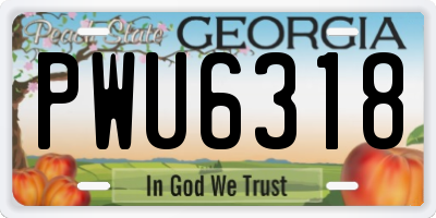 GA license plate PWU6318