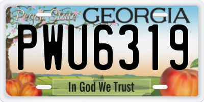 GA license plate PWU6319