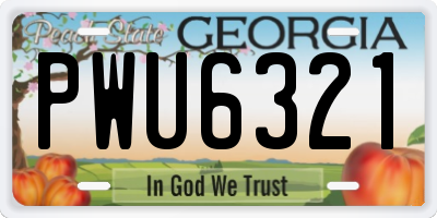 GA license plate PWU6321