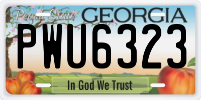 GA license plate PWU6323