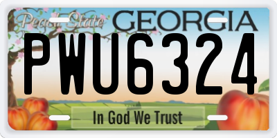 GA license plate PWU6324