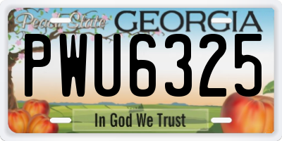 GA license plate PWU6325