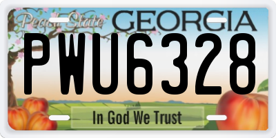 GA license plate PWU6328