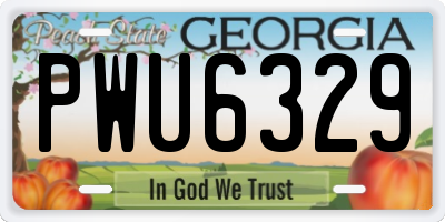 GA license plate PWU6329