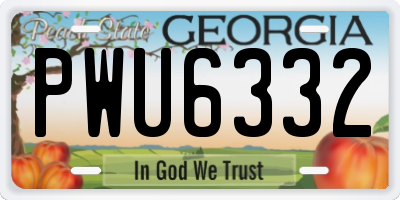 GA license plate PWU6332