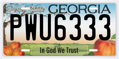 GA license plate PWU6333