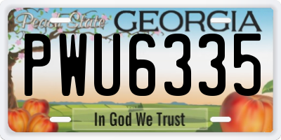 GA license plate PWU6335