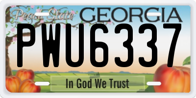 GA license plate PWU6337