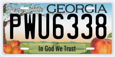 GA license plate PWU6338