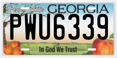 GA license plate PWU6339
