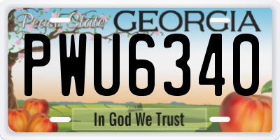 GA license plate PWU6340
