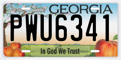 GA license plate PWU6341