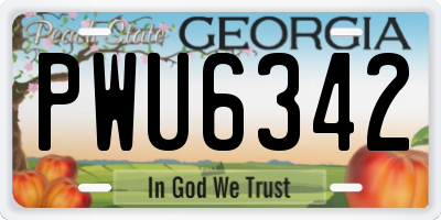 GA license plate PWU6342