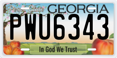 GA license plate PWU6343