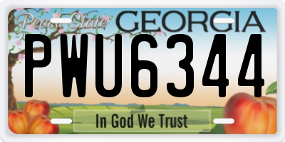GA license plate PWU6344