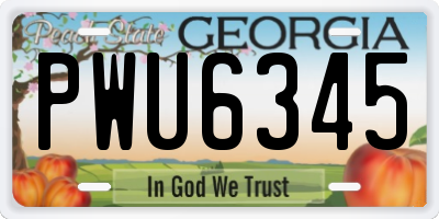 GA license plate PWU6345