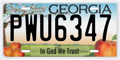 GA license plate PWU6347