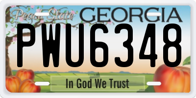GA license plate PWU6348