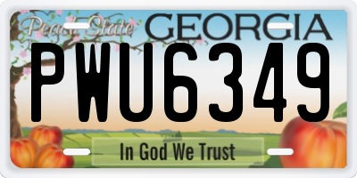 GA license plate PWU6349