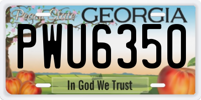 GA license plate PWU6350