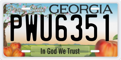 GA license plate PWU6351