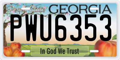 GA license plate PWU6353