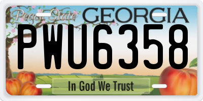 GA license plate PWU6358