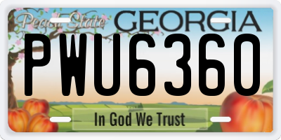 GA license plate PWU6360