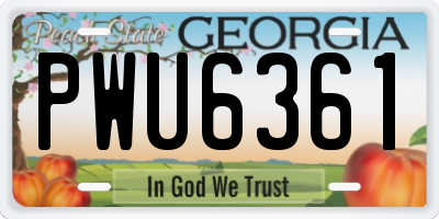 GA license plate PWU6361