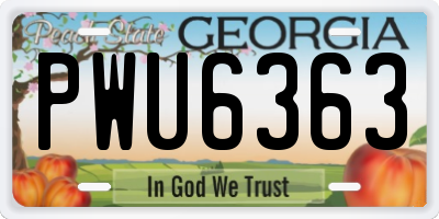GA license plate PWU6363