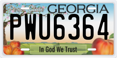 GA license plate PWU6364