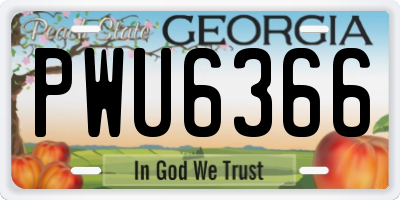 GA license plate PWU6366