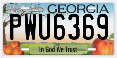 GA license plate PWU6369