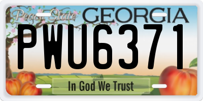 GA license plate PWU6371