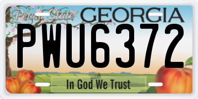GA license plate PWU6372