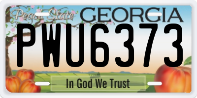 GA license plate PWU6373