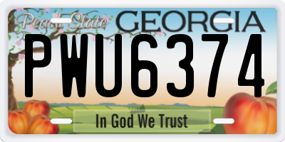 GA license plate PWU6374